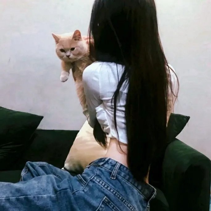 终极炫风